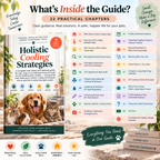 Page 2 from the Holistic Cooling Strategies for Indoor Pets printable