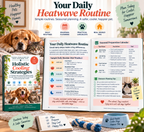 Page 9 from the Holistic Cooling Strategies for Indoor Pets printable