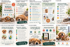 Holistic Cooling Strategies for Indoor Pets PDF – inside page preview 12