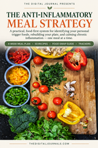The Anti-Inflammatory Meal Strategy PDF – inside page preview 21